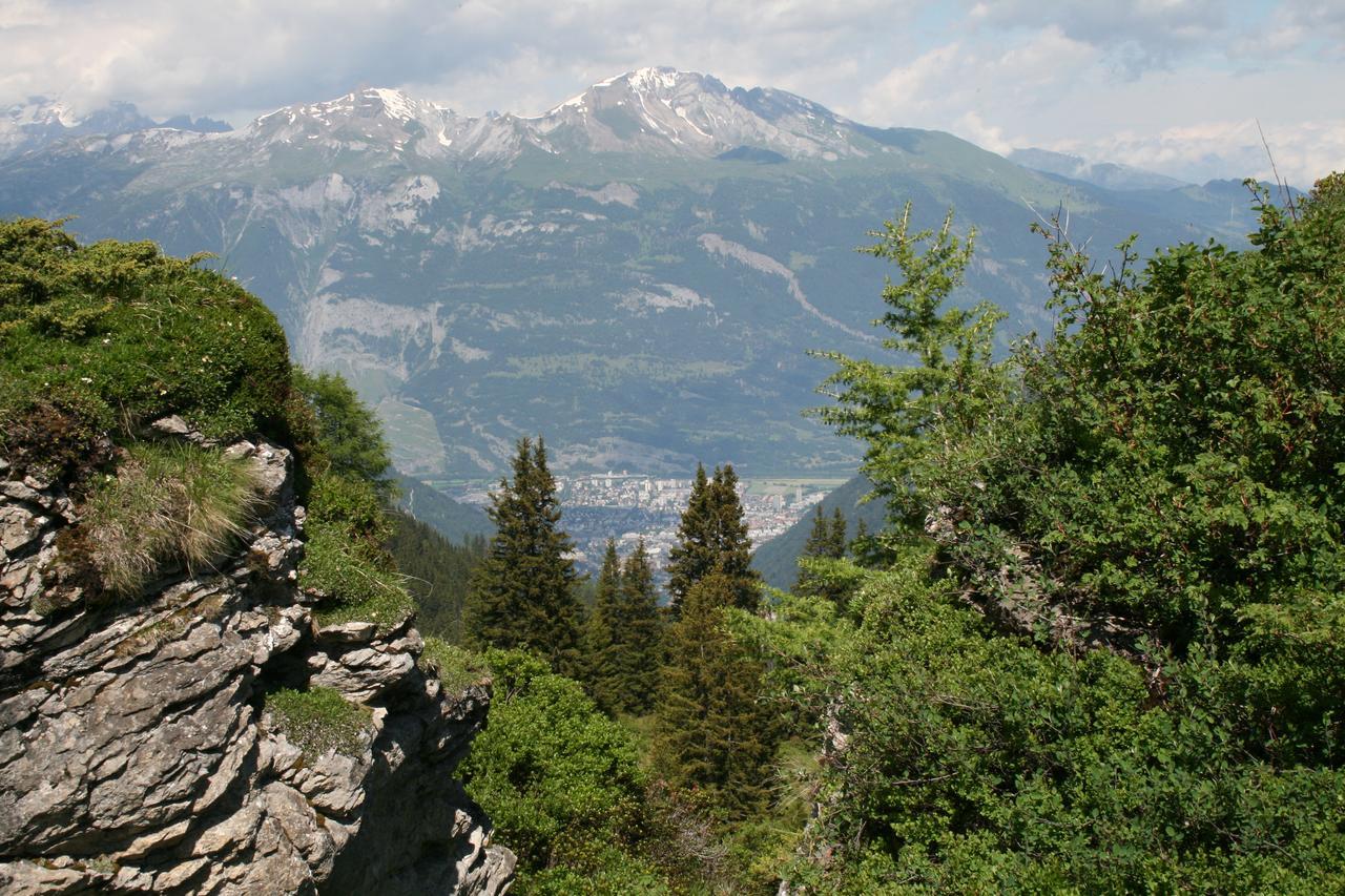 The Alpina Mountain Resort Tschiertschen Dış mekan fotoğraf